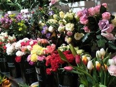-万卉源鲜花店(百尚生活广场店)