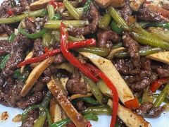 -丁老爷子苏香圆