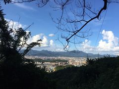 -清溪大王山森林公园