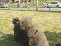 -两河城市森林公园