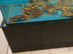 -都市阳光海鲜城(青山湖店)