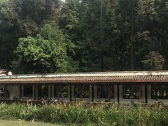 -温江公园