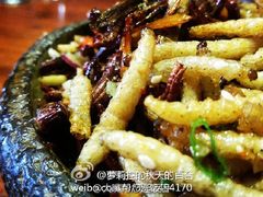-慢丽江·云南野生菌土鸡锅(付家庄店)