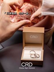 -CRD克徕帝(上海凯德晶萃广场店)