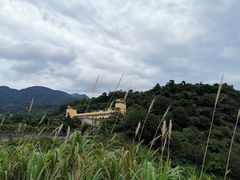 -江西阳明山国家森林公园