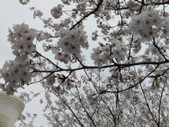 -尚贤河湿地