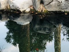 -趵突泉景区