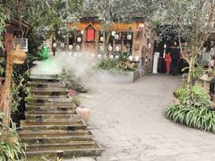 -青城甲(青城山店)