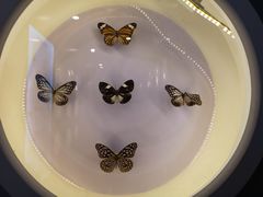 -下渚湖国家湿地公园科普馆