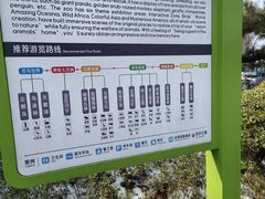-武汉动物园