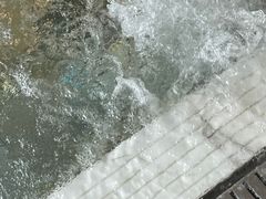 -广州四季酒店