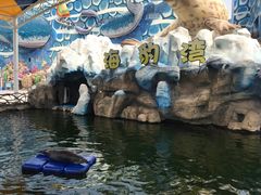 -华夏文旅海洋公园