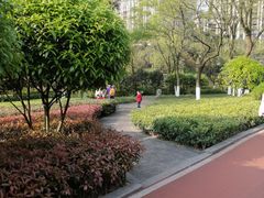 -龙头寺公园