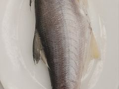 -吴记富苑(朝阳店)