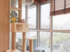 -雅乐居装饰(西区店)