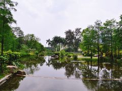 -云溪植物园