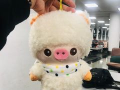 -厦门高崎国际机场-T3航站楼