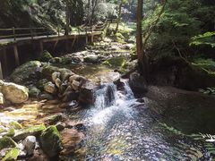 -牛背梁国家森林公园