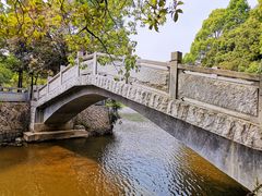 -九鲤湖风景区