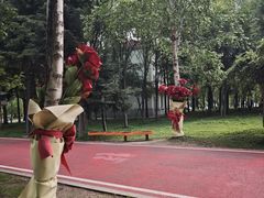 -黛秀湖公园