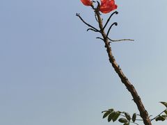 -深圳湾公园(南山区)