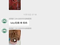 -派美特宠物医院·核磁CT·骨科肿瘤·疑难转诊(沈农禾丰店)