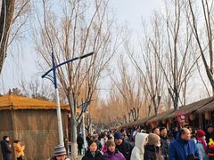 -青龙湖公园