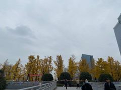 -百林公园-两江幸福广场