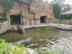 -沈阳森林动物园