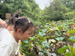 -韩湘水博园