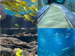 -福州罗源湾海洋世界旅游区