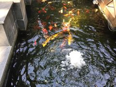 -民国红公馆·艺文空间(颐和路店)