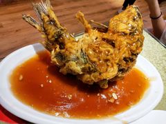 -春江饭店(共青团路总店)