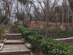 -观象山公园