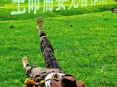 -新疆那拉提国家旅游度假区
