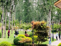 -禧宴Joyous Restaurant(禧园店)