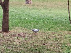 -钓鱼台国宾馆