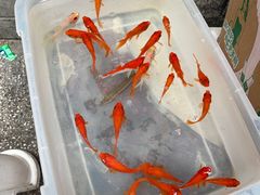 -小街47號江湖菜(四合院店)