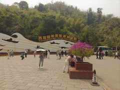 -西双版纳原始森林公园