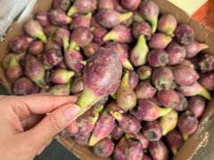 -新鸿港水果市场(三亚新鸿港国际商品交易中心店)