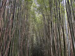 -井空里大峡谷