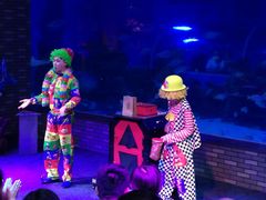 -成都浩海立方海洋公园