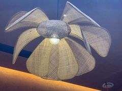 -阿露佳·舌尖上的安吉菜