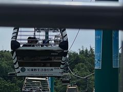 -广州长隆野生动物世界