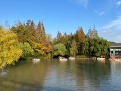 -上海滨江森林公园