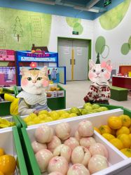 -莫莉幻想儿童乐园(苏州常熟永旺店)