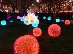 -大雁塔北广场音乐喷泉