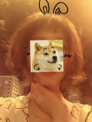 -可可丽舍