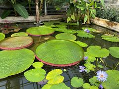 -国家植物园南园