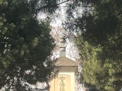 -西安青龙寺遗址景区